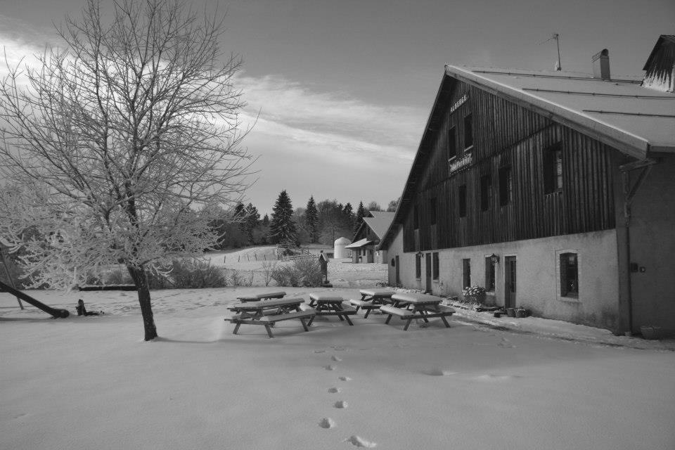 Auberge De La Perdrix Hauterive-la-Fresse ภายนอก รูปภาพ